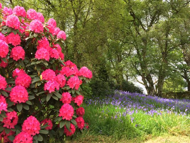 Celebrate Burns Night in Northumberland